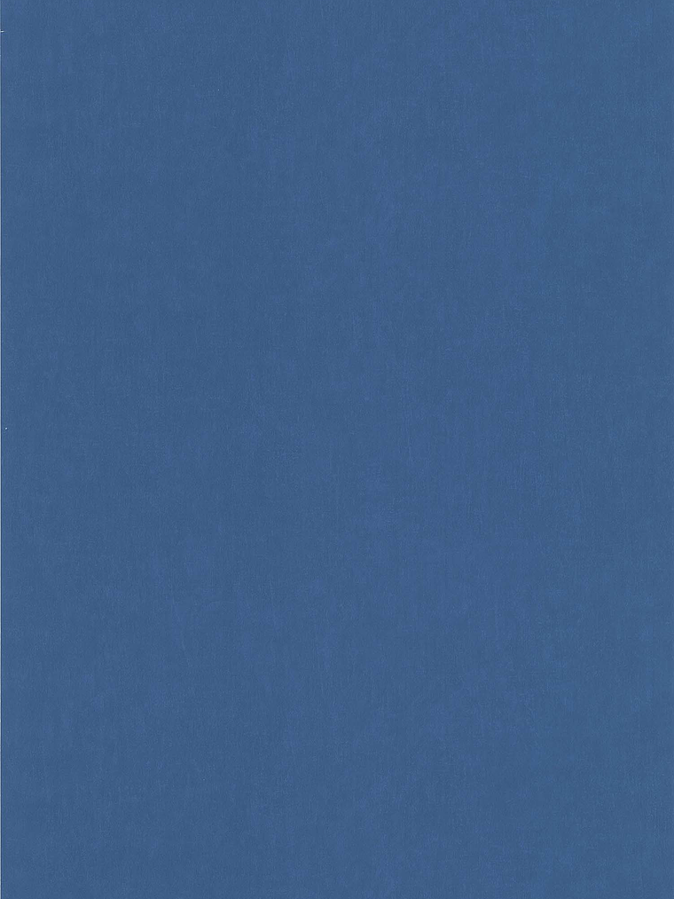 11163331 - LES PETITS CURIEUX - (0CM)     4