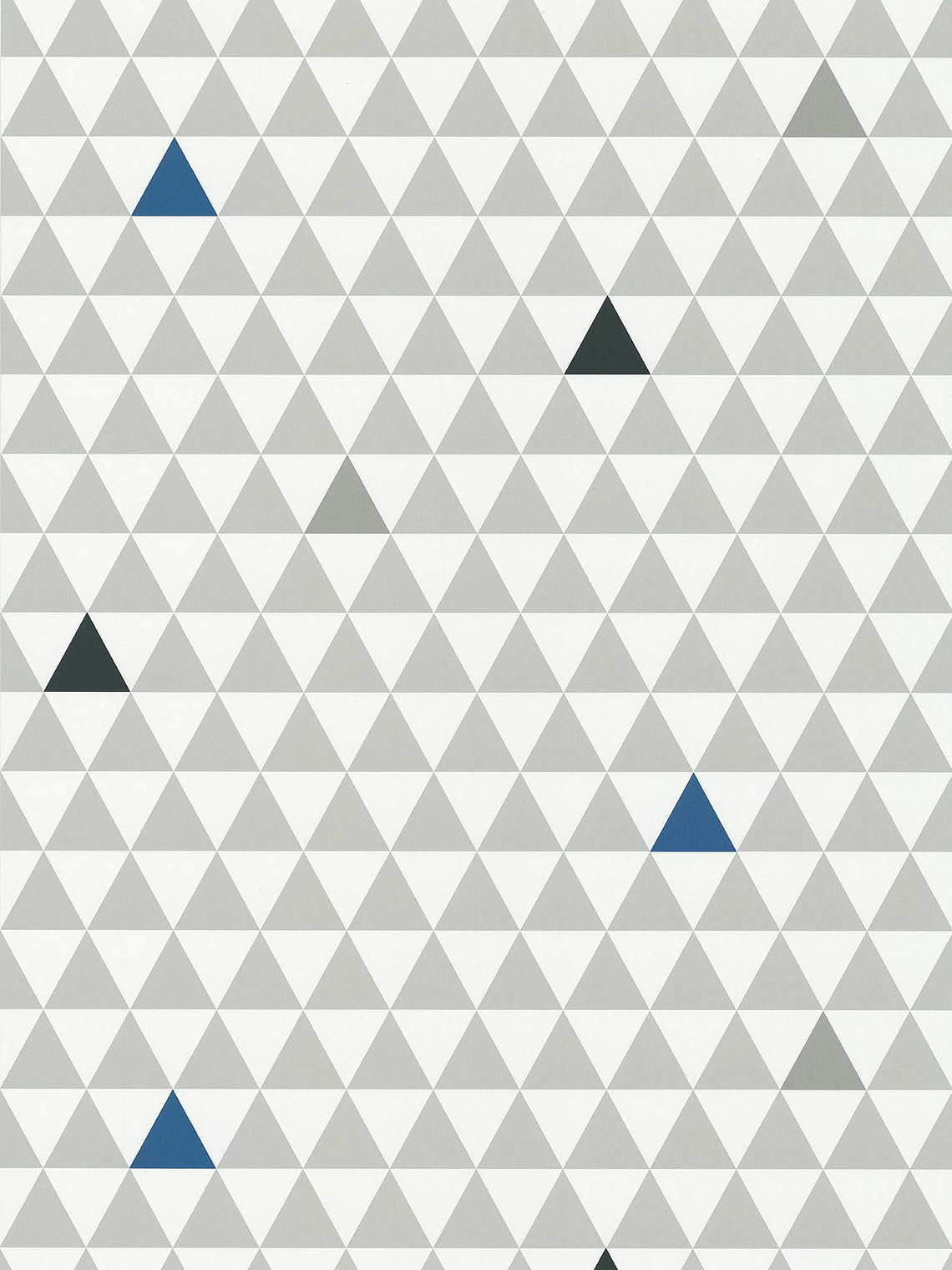 11160609 - LES PETITS CURIEUX - (53CM)    1