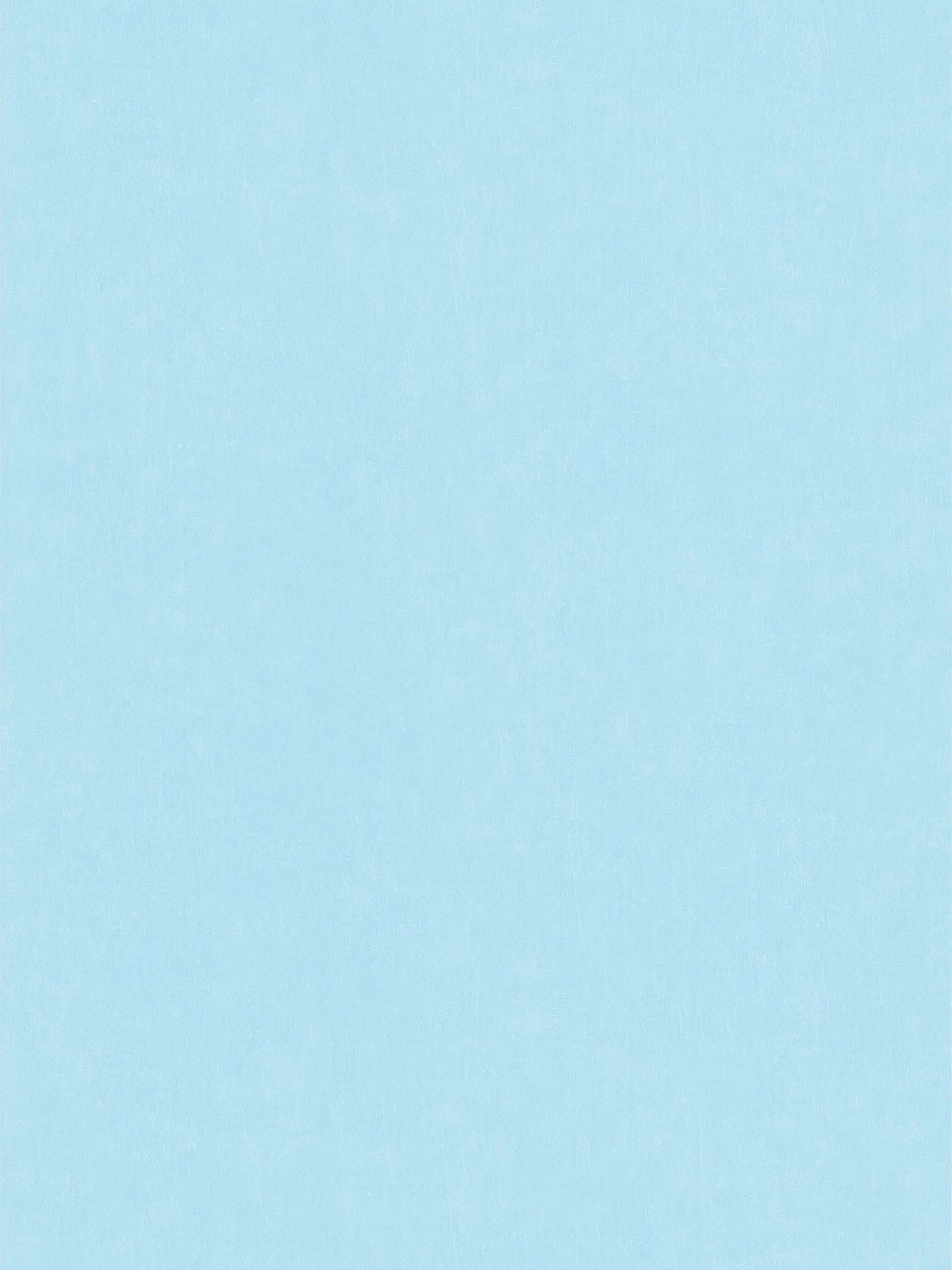 11163301 - LES PETITS CURIEUX - (0CM)  4