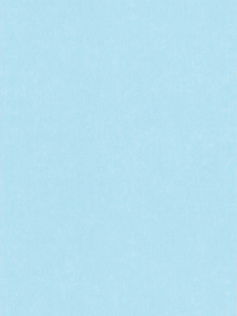 11163301 - LES PETITS CURIEUX - (0CM)  4