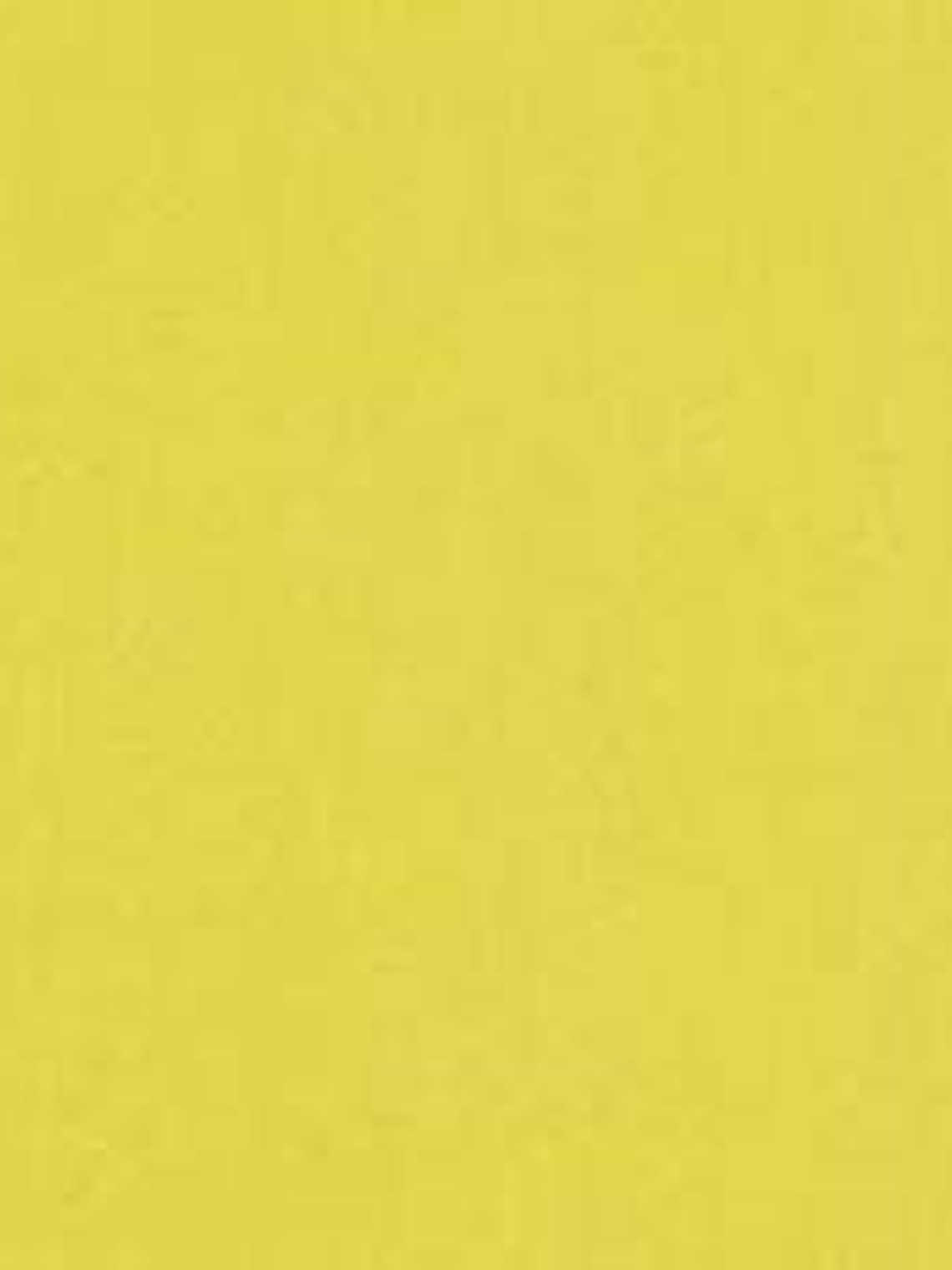 11163304 - LES PETITS CURIEUX - (0CM)  3