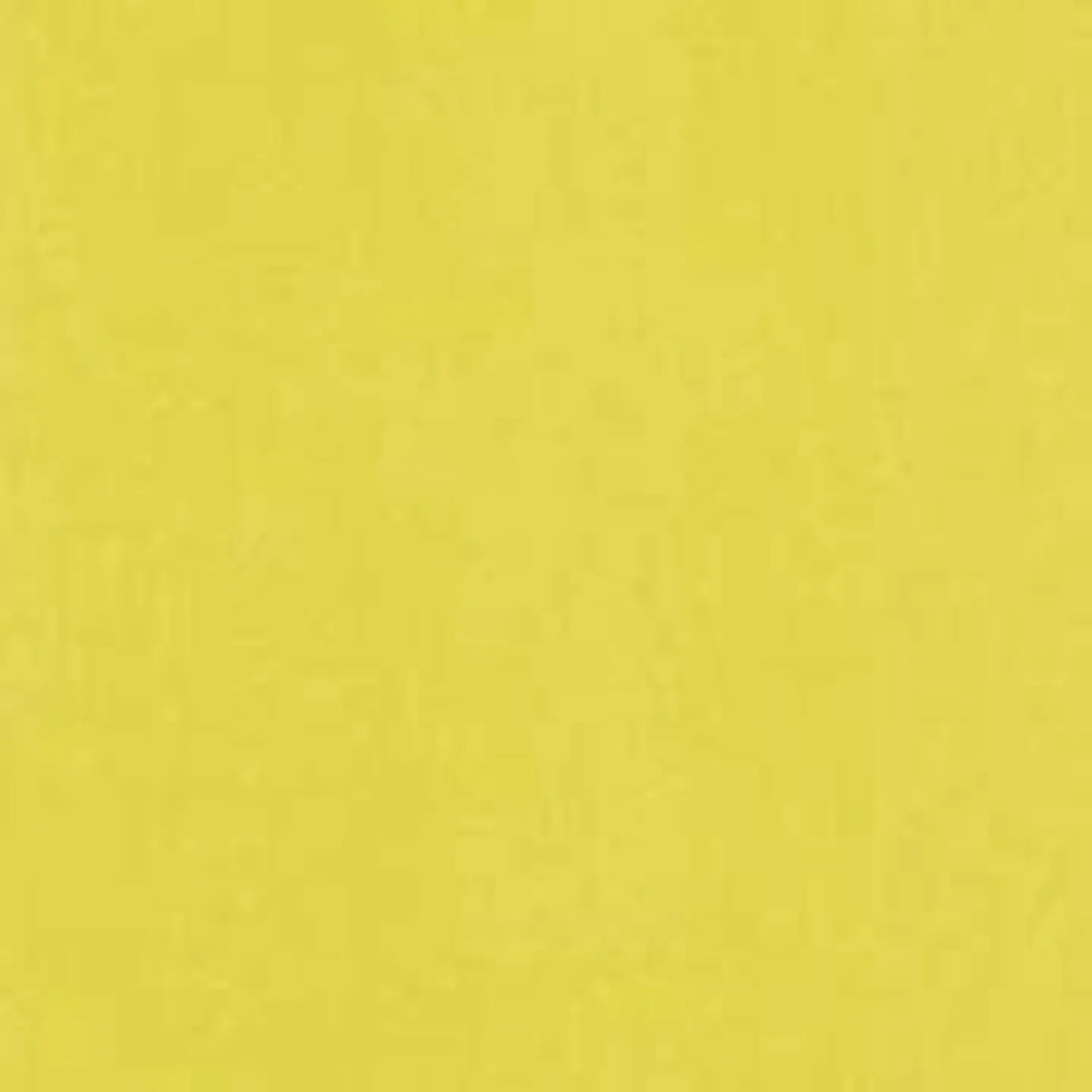 11163304 - LES PETITS CURIEUX - (0CM)  3