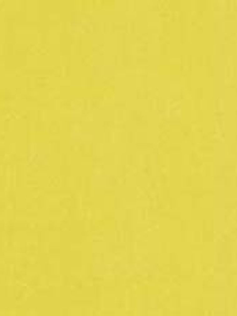 11163304 - LES PETITS CURIEUX - (0CM)  3