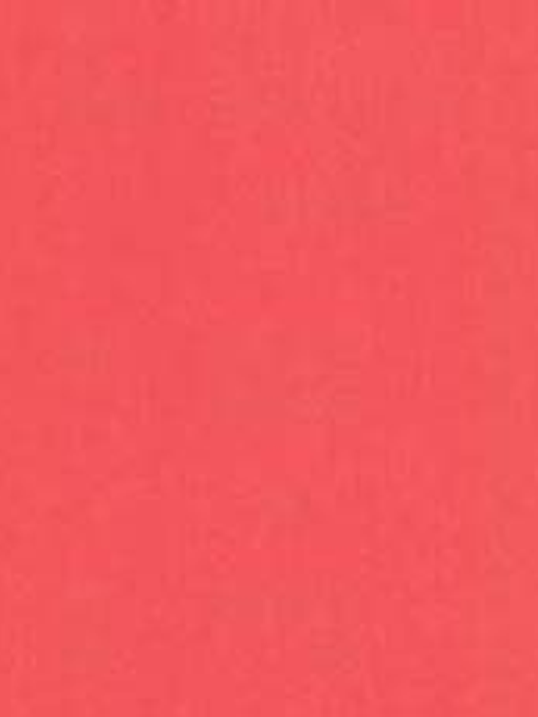 11163310 - LES PETITS CURIEUX - (0CM)    3