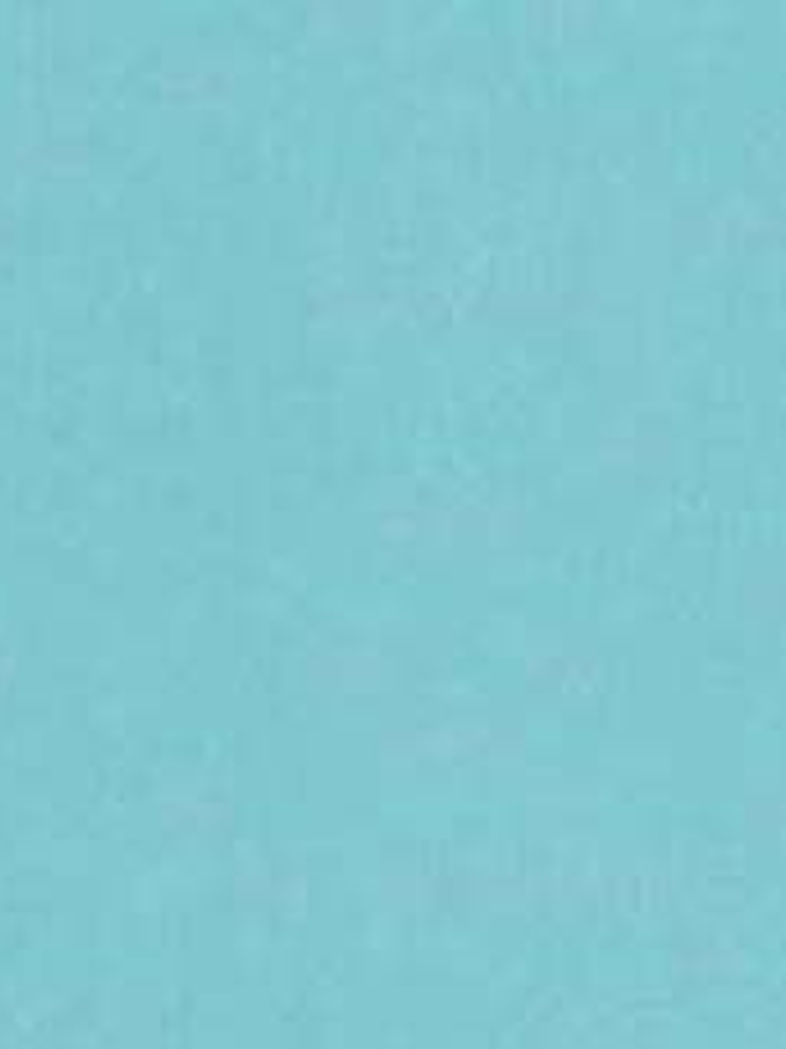 11163311 - LES PETITS CURIEUX - (0CM)   3