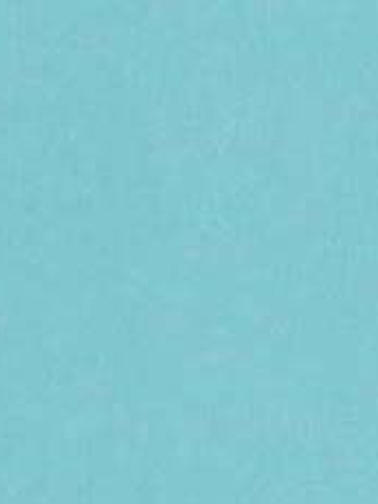 11163311 - LES PETITS CURIEUX - (0CM)   3