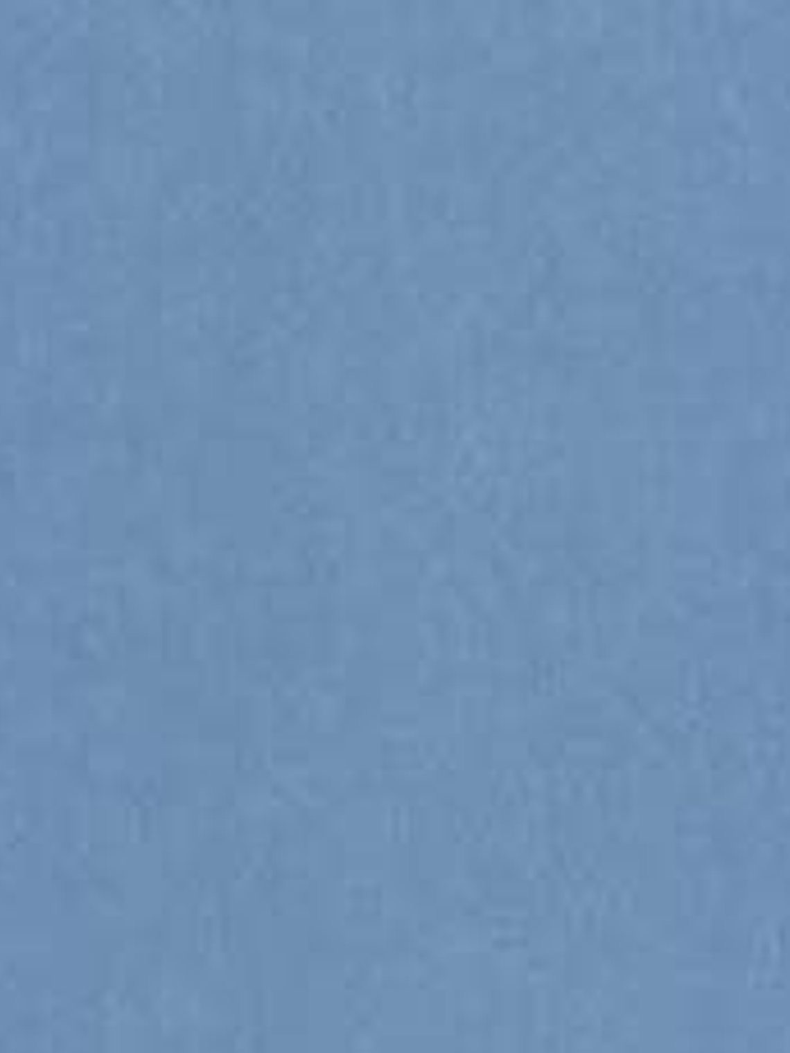 11163321 - LES PETITS CURIEUX - (0CM)     2