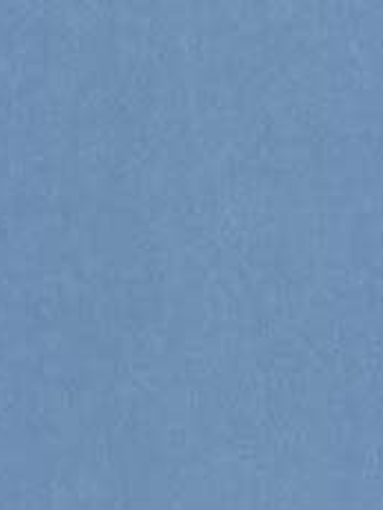 11163321 - LES PETITS CURIEUX - (0CM)     2