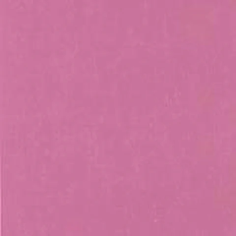 11163323 - LES PETITS CURIEUX - (0CM)    