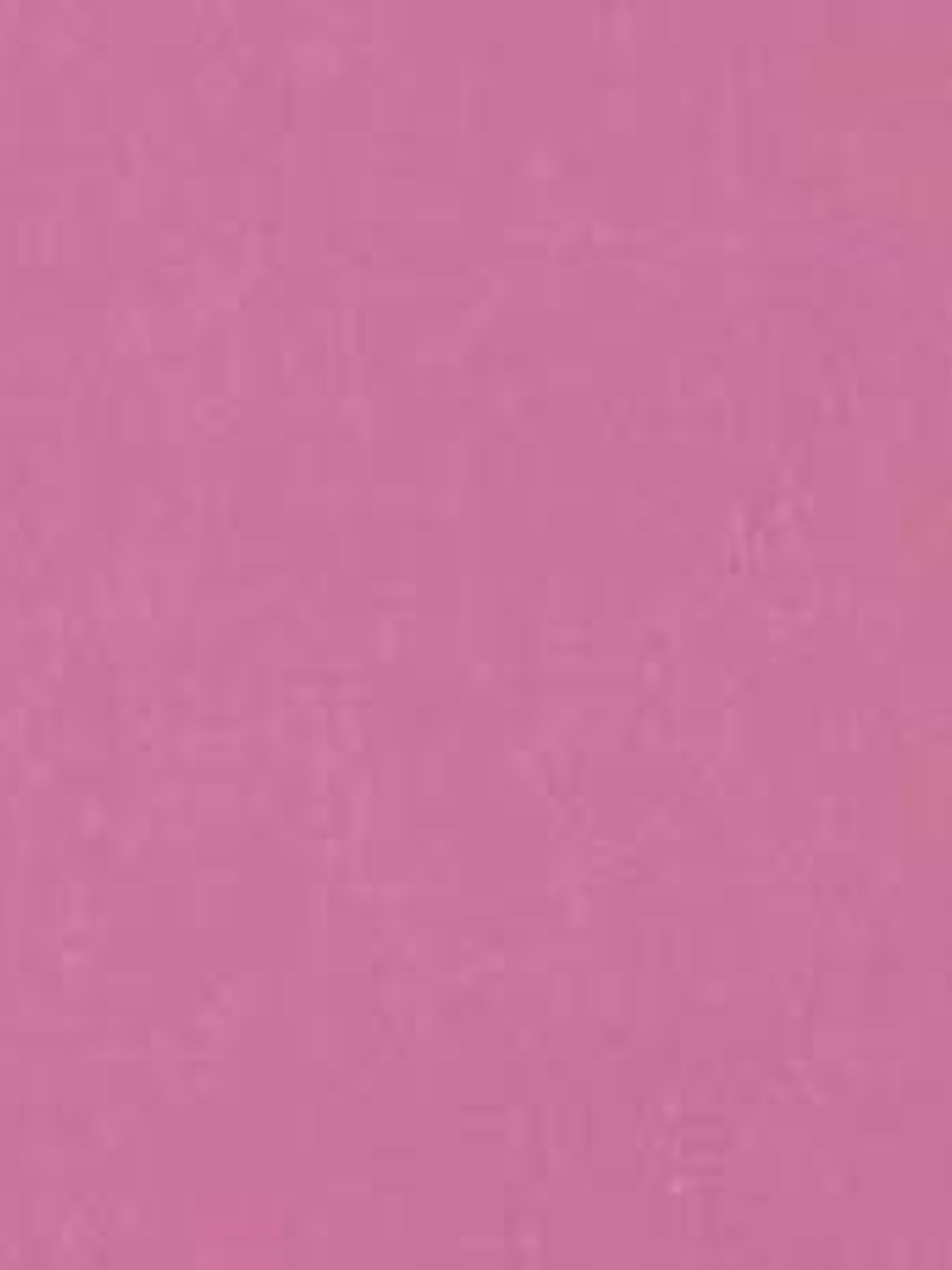 11163323 - LES PETITS CURIEUX - (0CM)     1