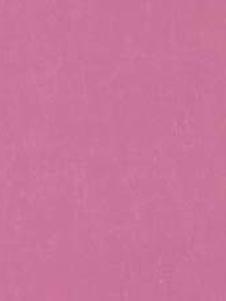 11163323 - LES PETITS CURIEUX - (0CM)     1