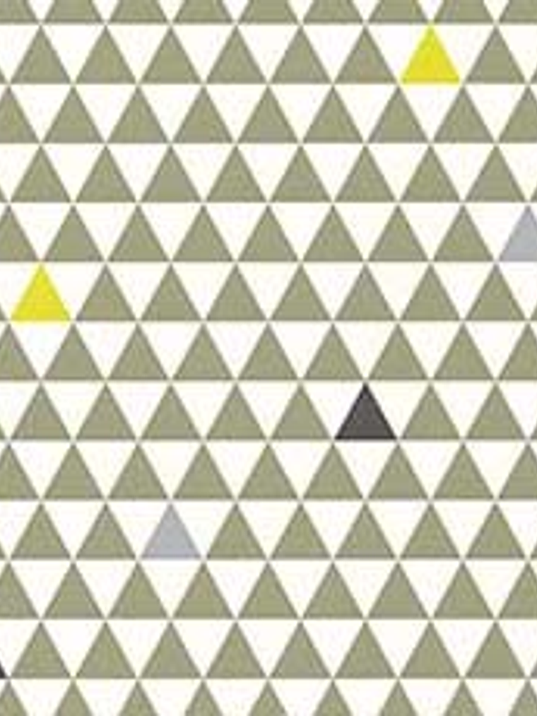 11160604 - LES PETITS CURIEUX - (53CM)  2