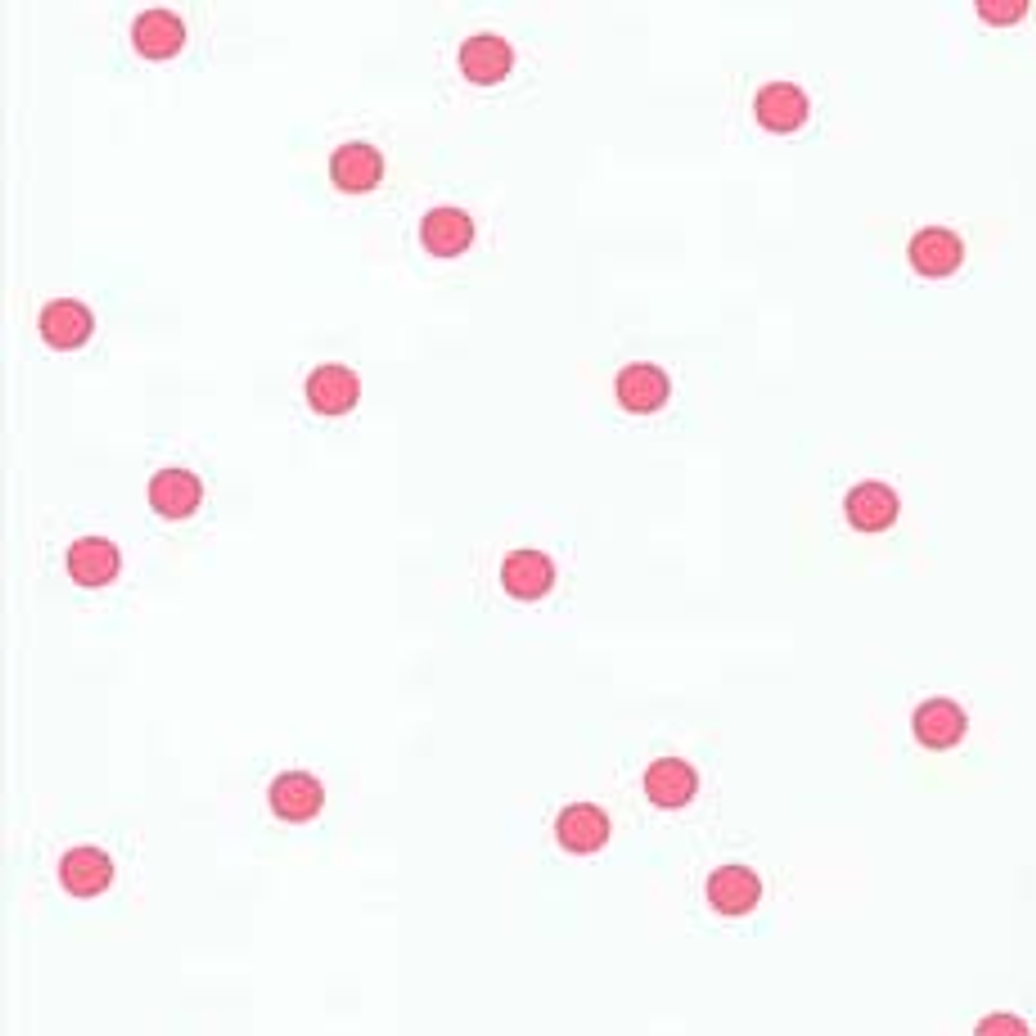 36160203 - LES PETITS CURIEUX - (0CM)     3