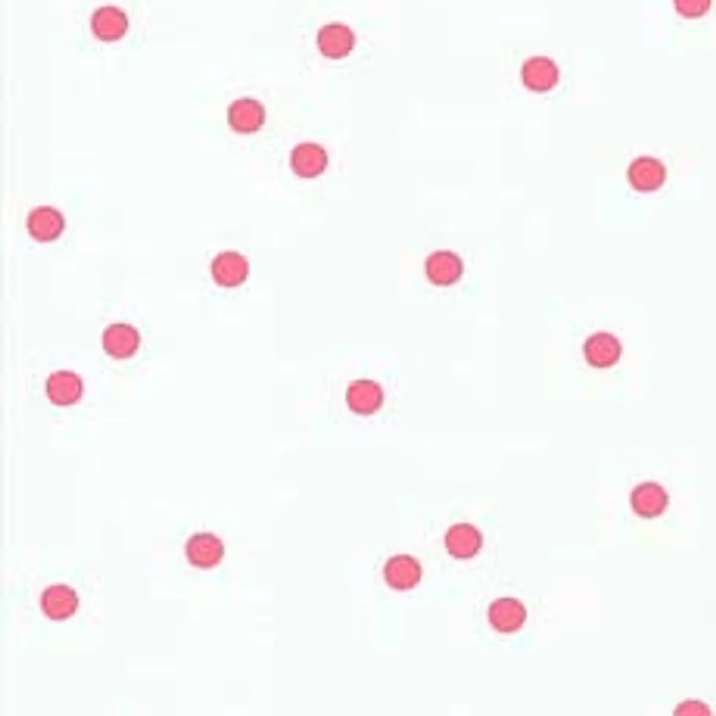 36160203 - LES PETITS CURIEUX - (0CM)     3