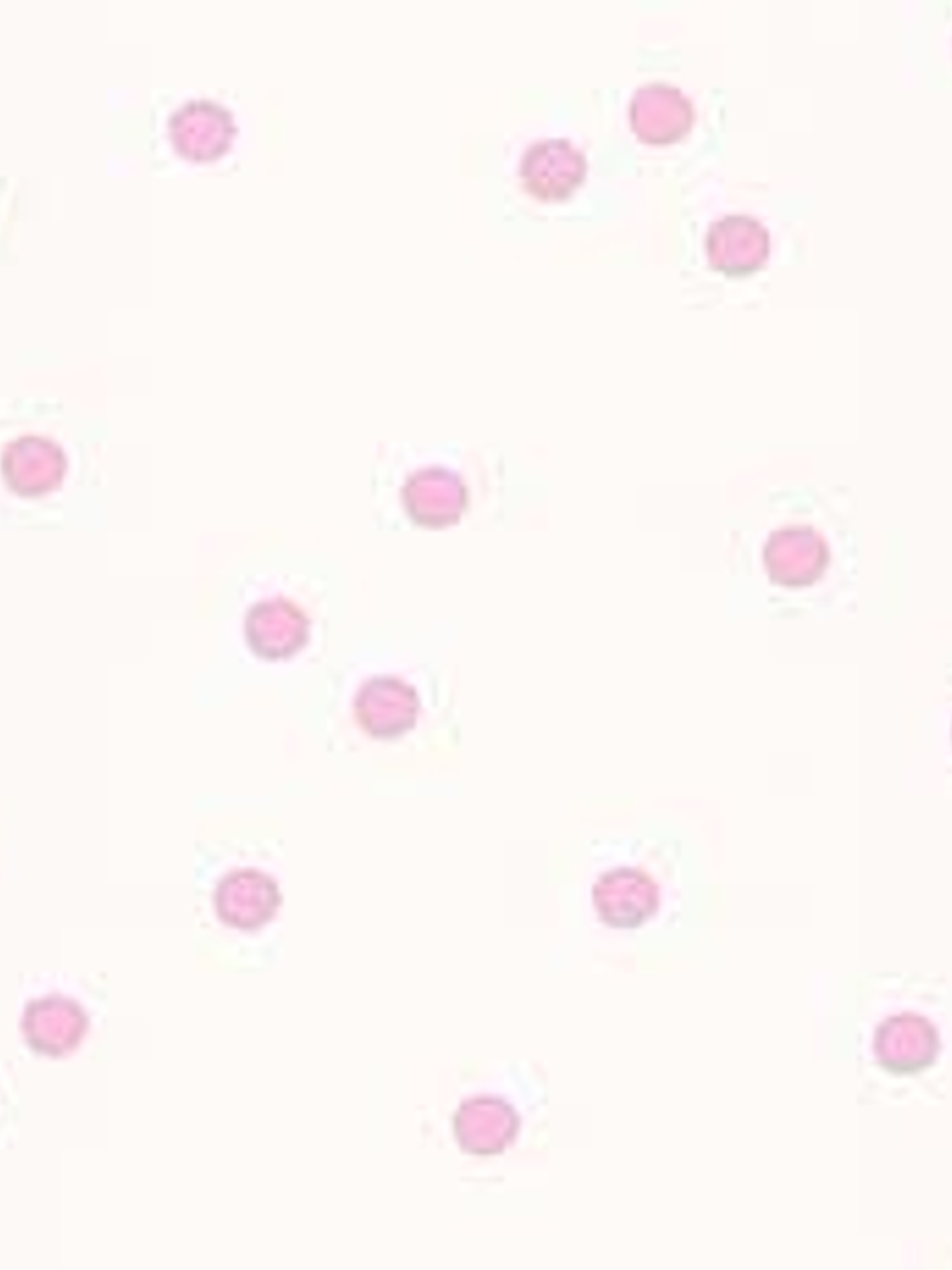 36160213-LES PETITS CURIEUX- (0CM)      4