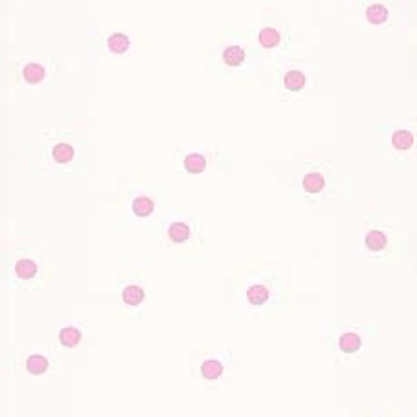 36160213-LES PETITS CURIEUX- (0CM)      4