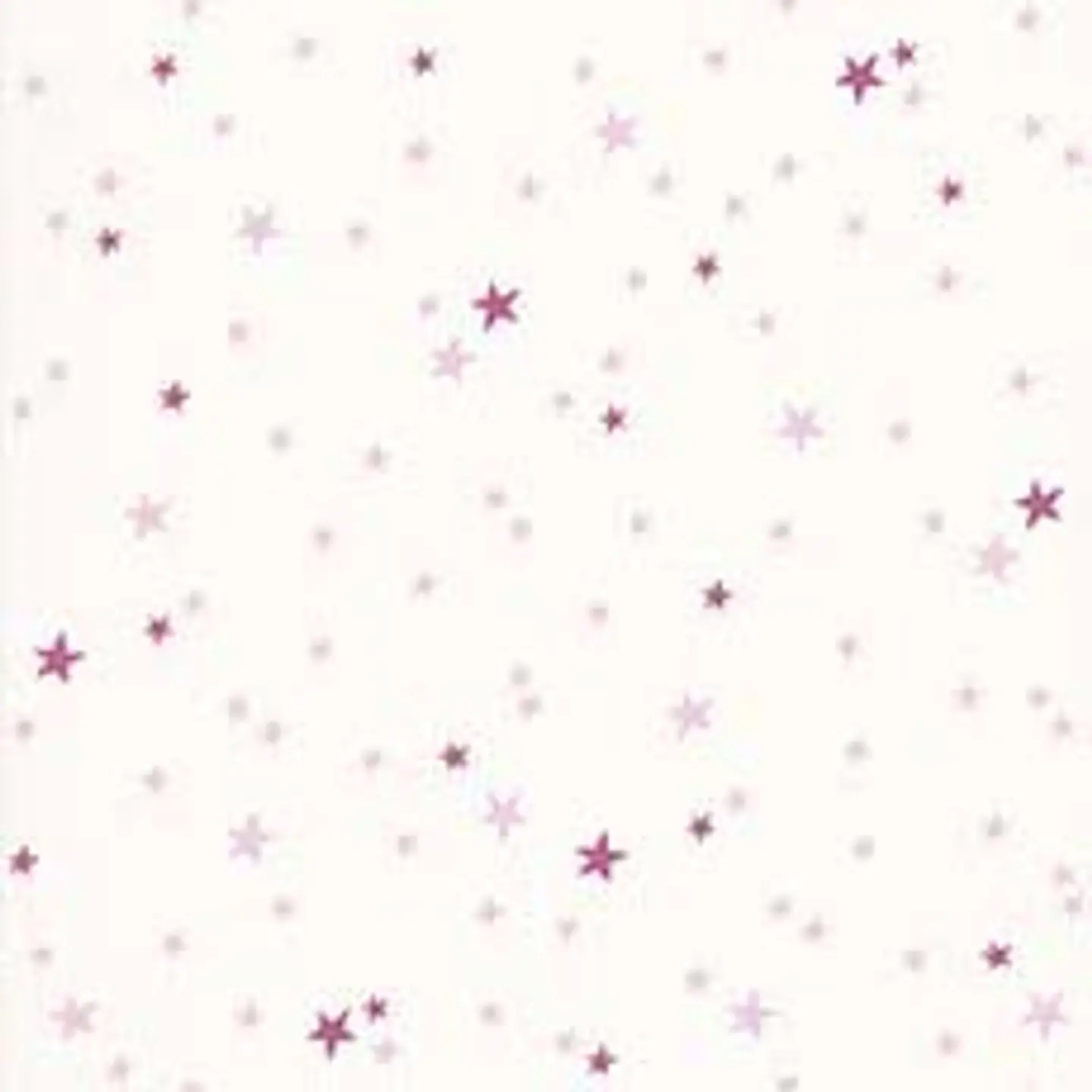36160313 - LES PETITS CURIEUX - (0CM)       3