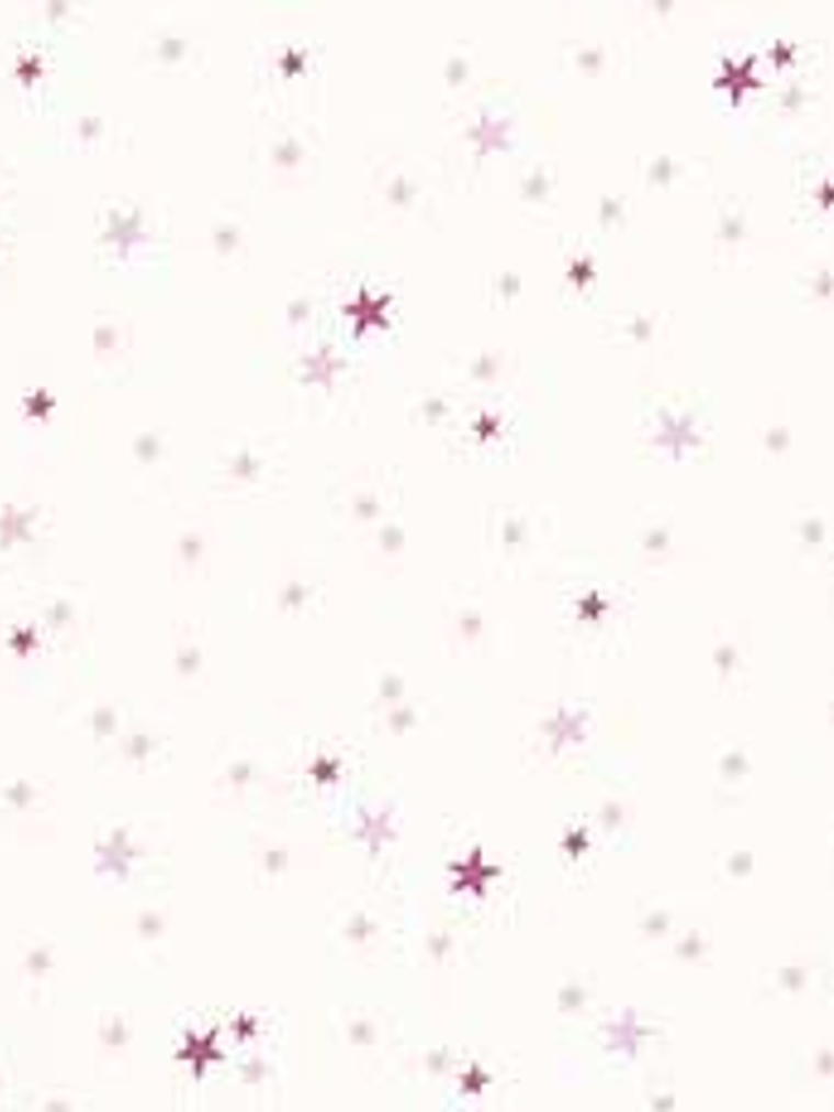 36160313 - LES PETITS CURIEUX - (0CM)       3