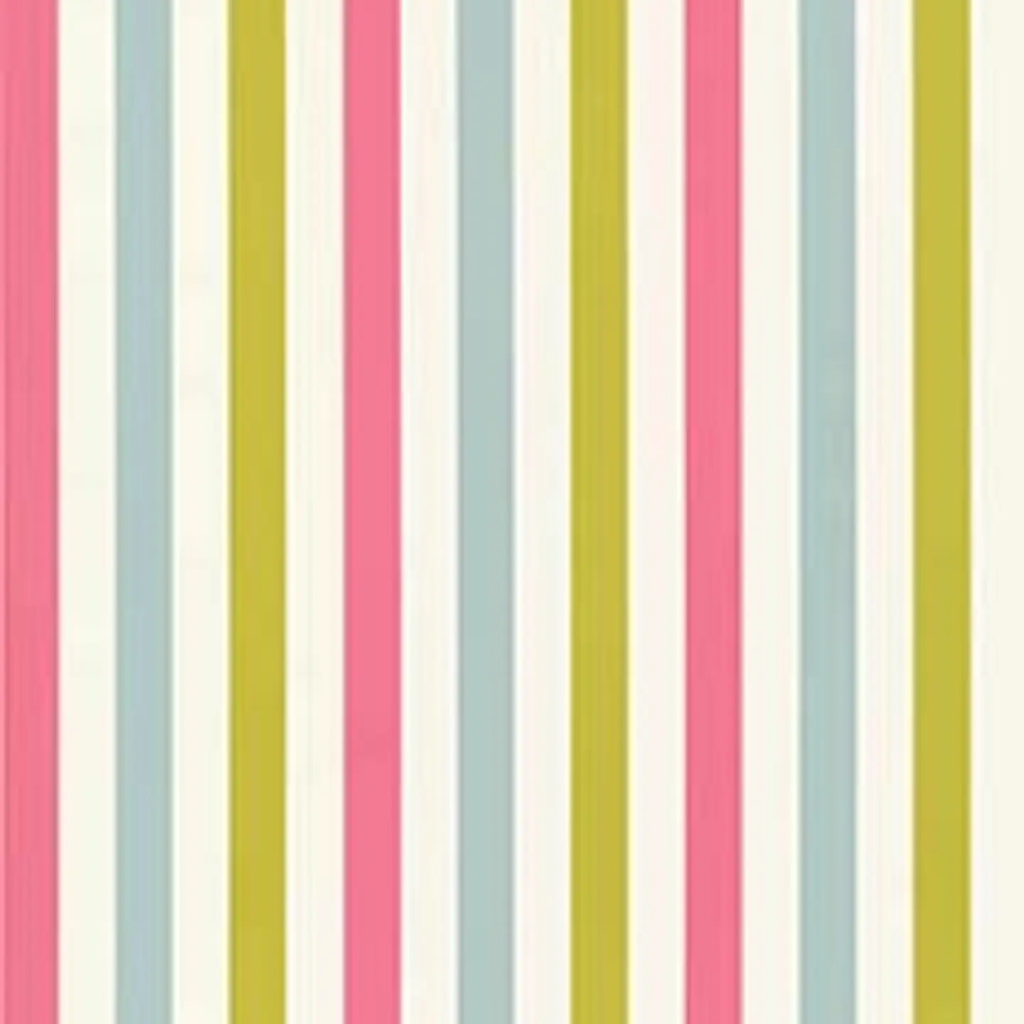 36160403 - LES PETITS CURIEUX - (0CM)   3