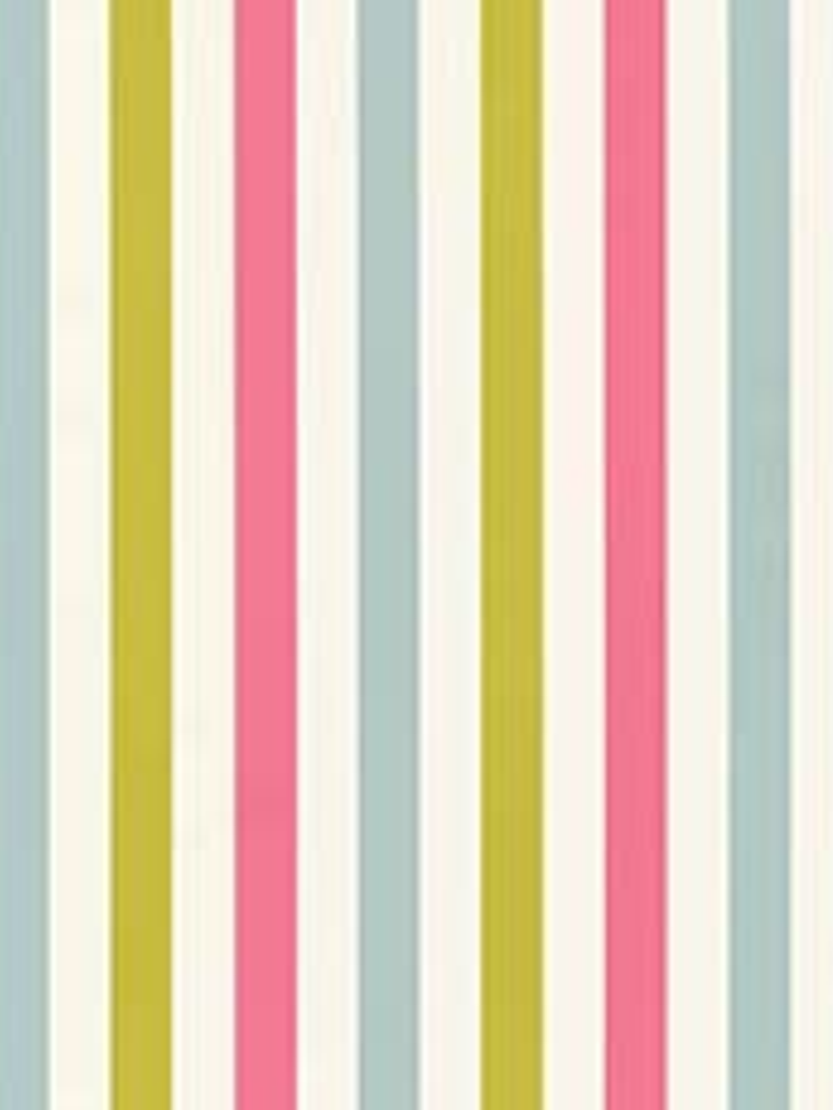 36160403 - LES PETITS CURIEUX - (0CM)   3