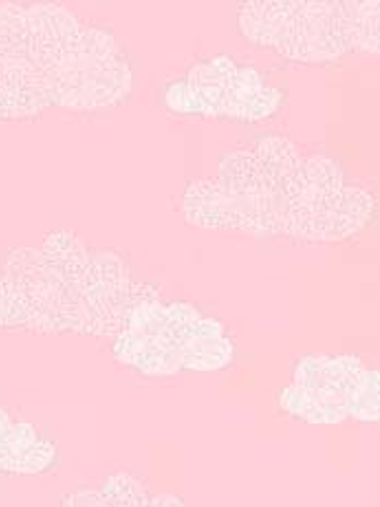 36160503 - LES PETITS CURIEUX- (0CM)    4