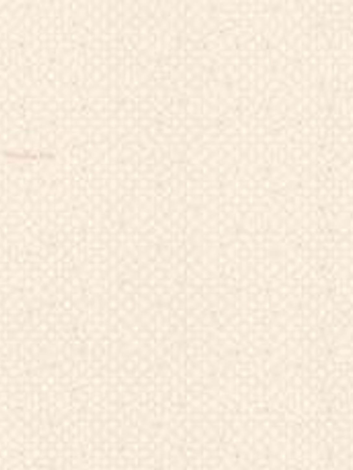 629404- LES PETITS CURIEUX - (26.5CM)  1