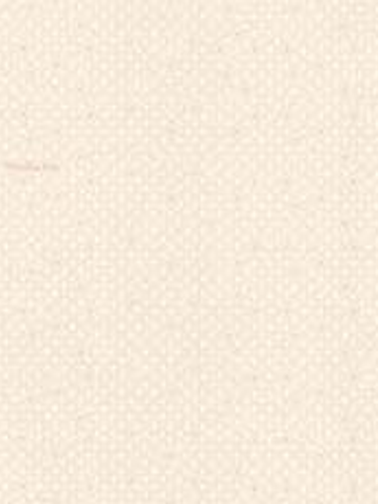 629404- LES PETITS CURIEUX - (26.5CM)  1