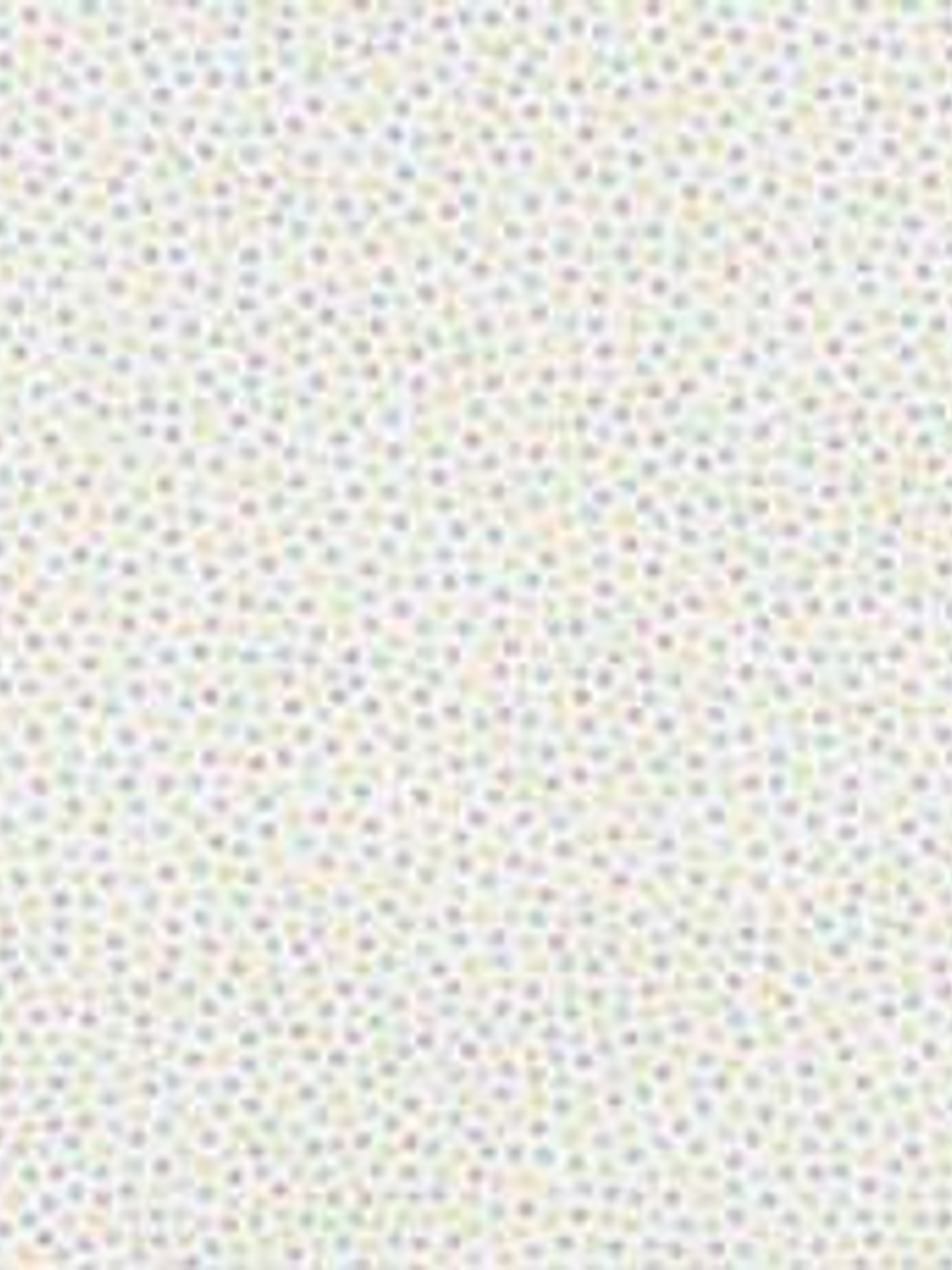 629402-LES PETITS CURIEUX - (0CM) 4