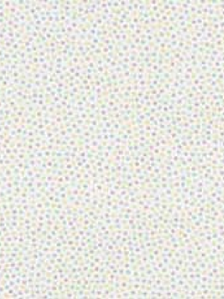 629402-LES PETITS CURIEUX - (0CM) 4