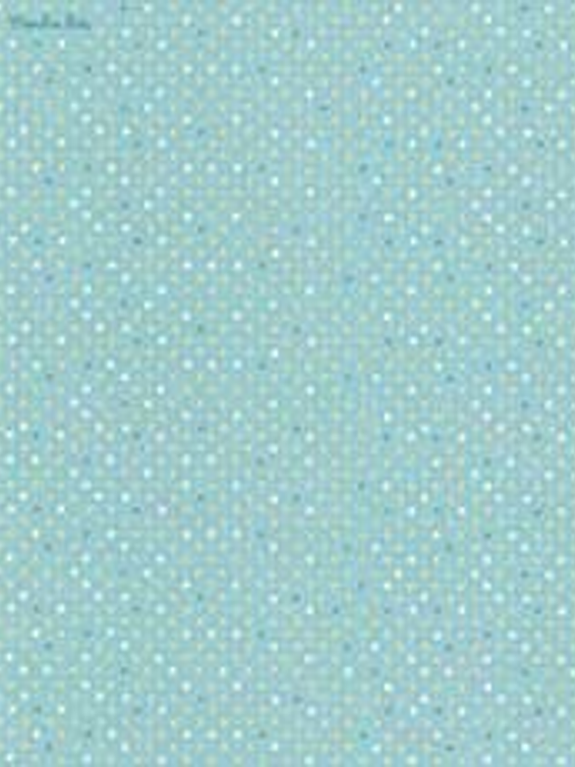 629403-LES PETITS CURIEUX - (26.5CM)  3