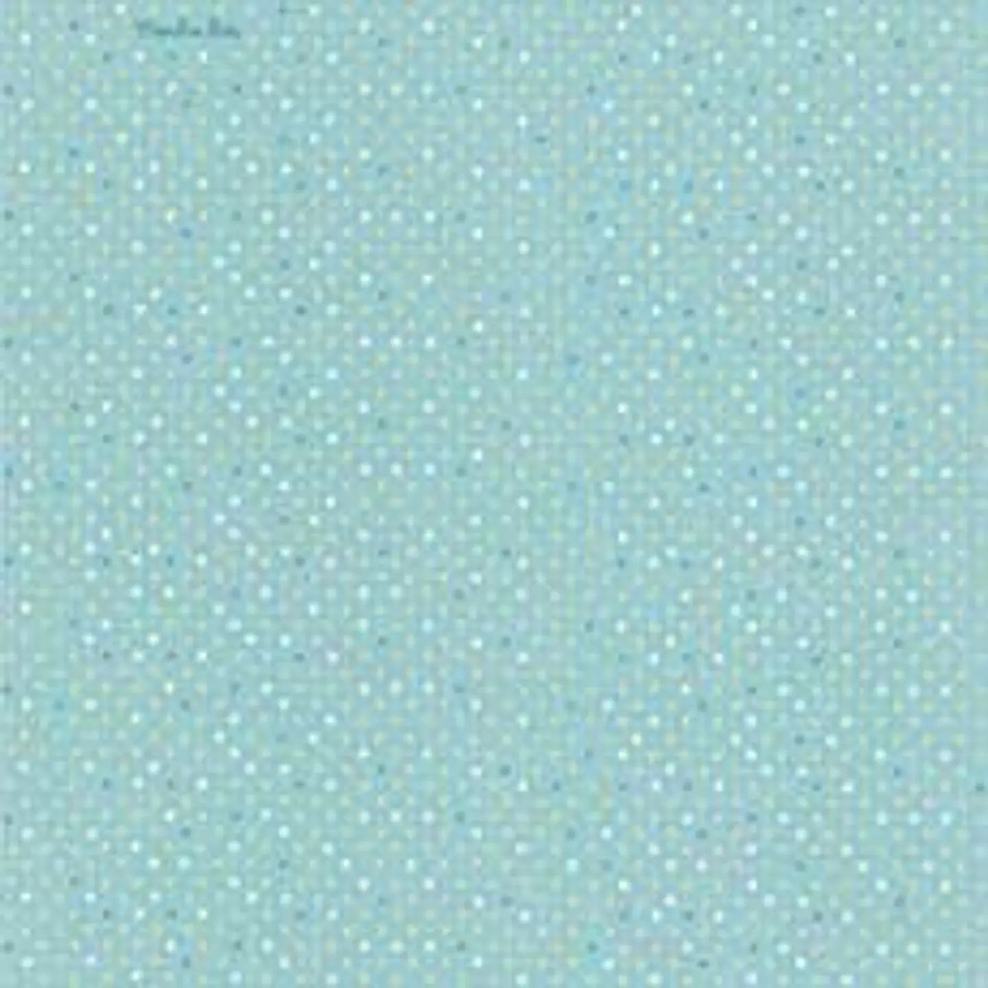 629403-LES PETITS CURIEUX - (26.5CM)  3