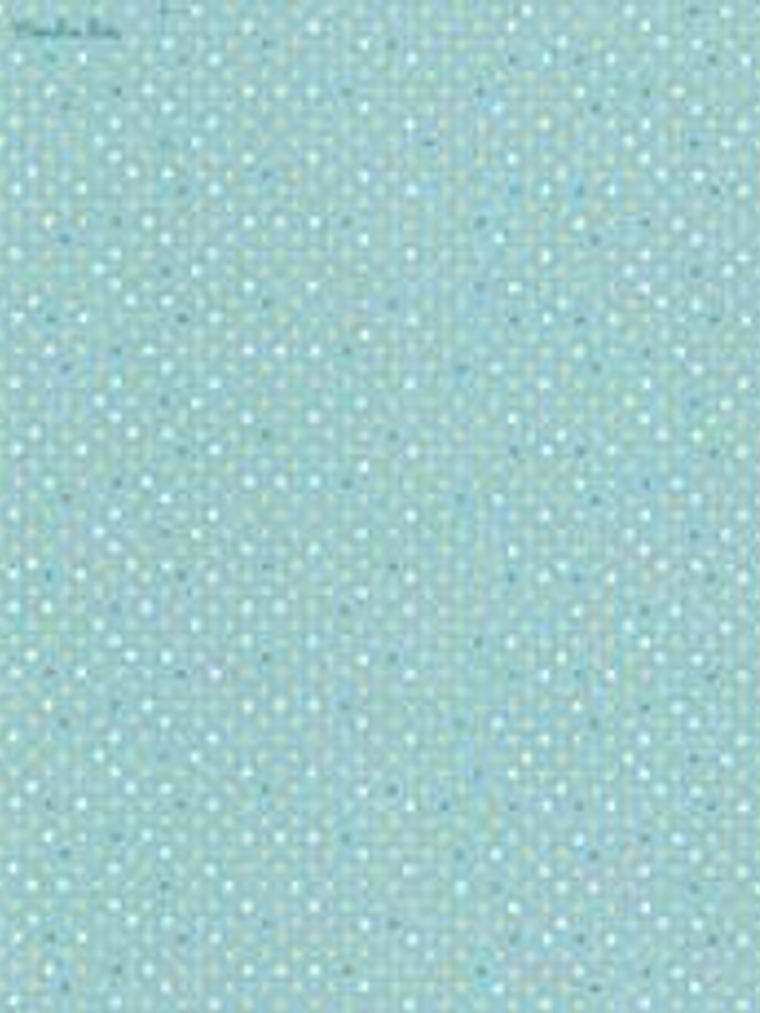 629403-LES PETITS CURIEUX - (26.5CM)  3