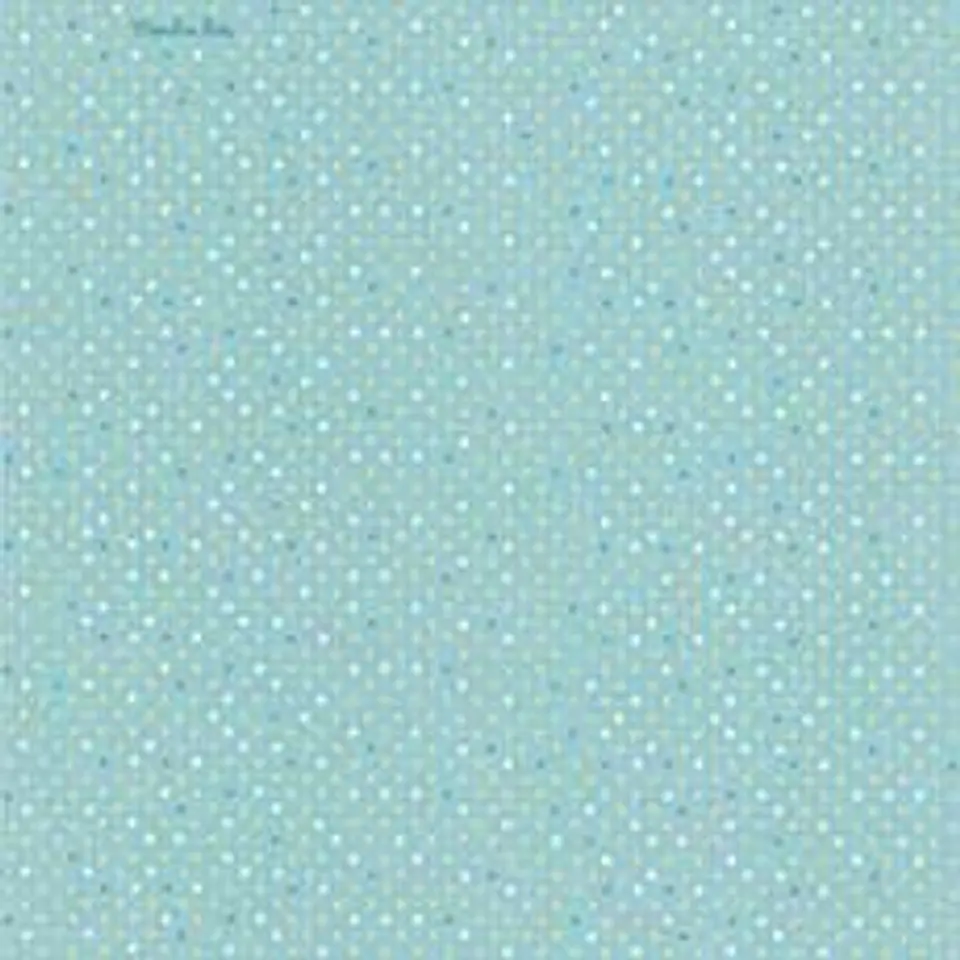 629403-LES PETITS CURIEUX - (26.5CM)  3