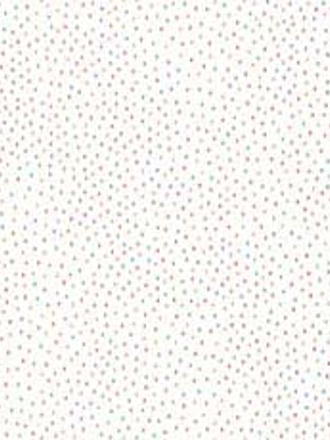 658402-LES PETITS CURIEUX- (0CM)   3