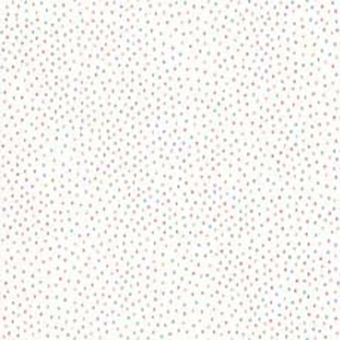 658402-LES PETITS CURIEUX- (0CM)   3