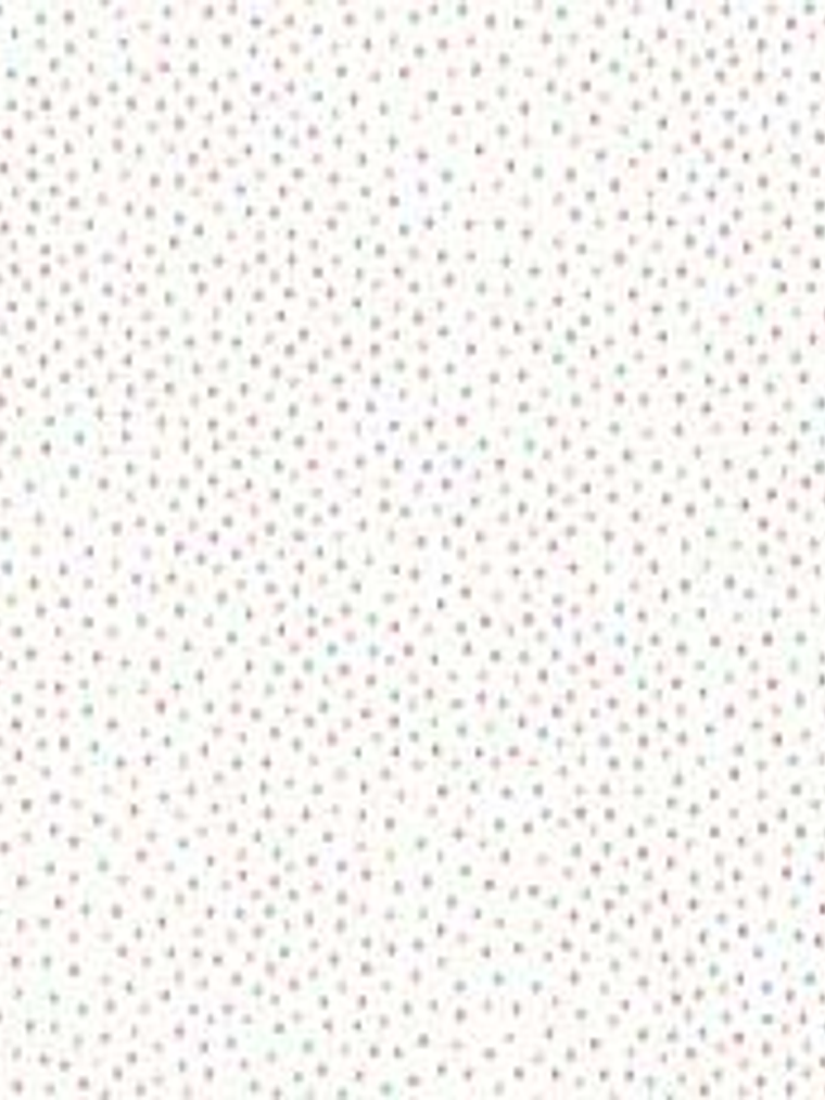 658402-LES PETITS CURIEUX- (0CM)   3