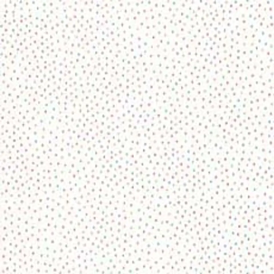658402-LES PETITS CURIEUX- (0CM)   3