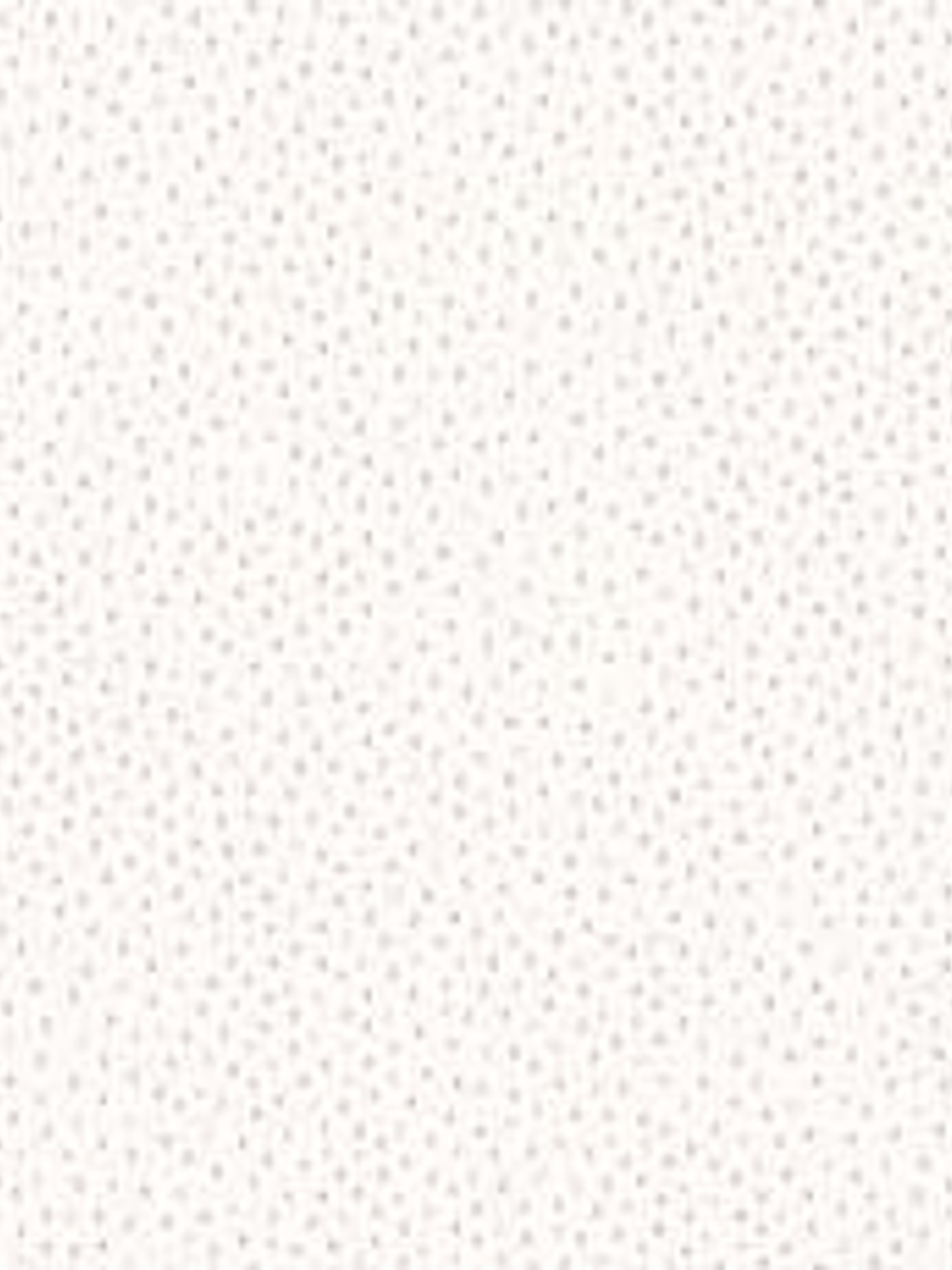 658404-LES PETITS CURIEUX- (0CM)   3