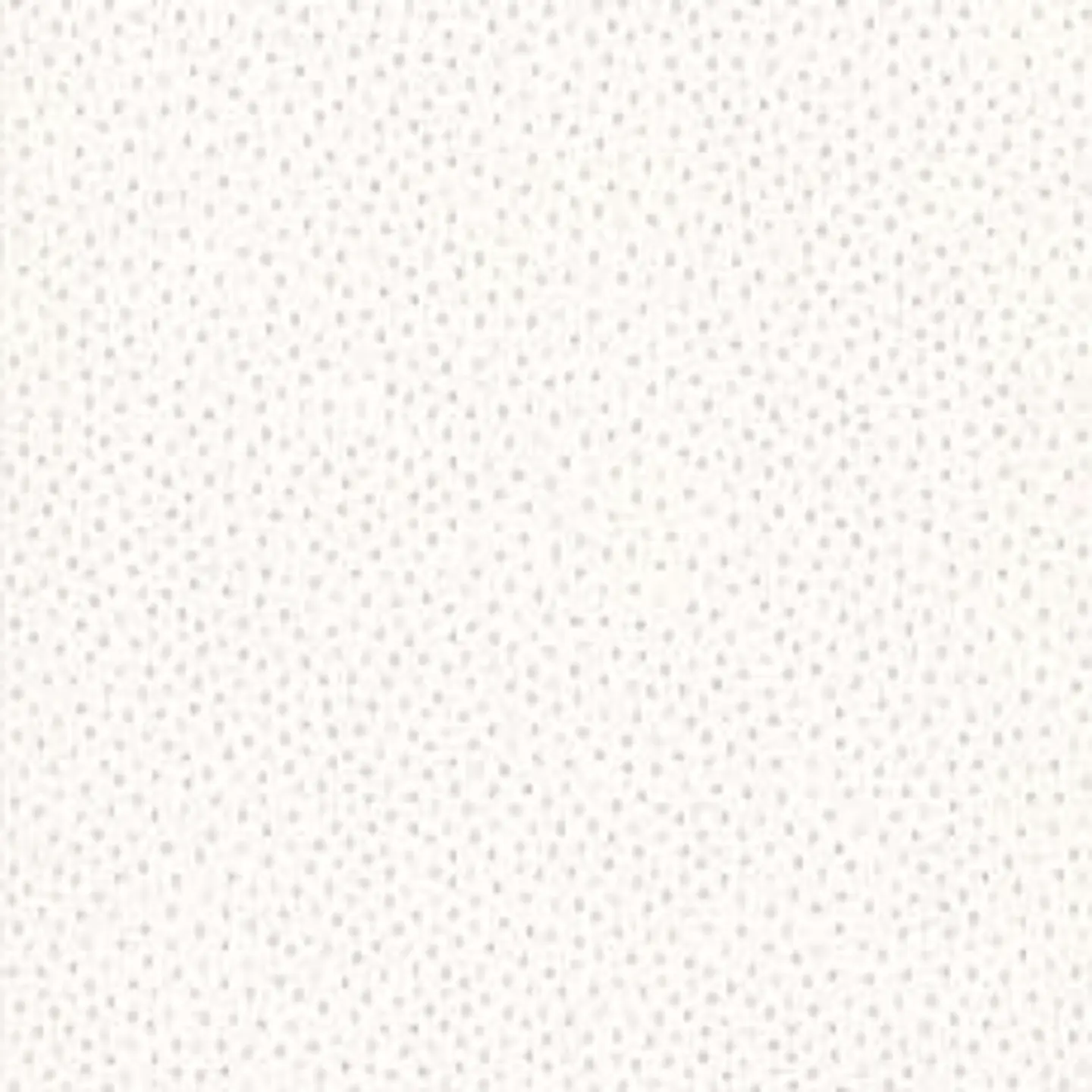 658404-LES PETITS CURIEUX- (0CM)   3