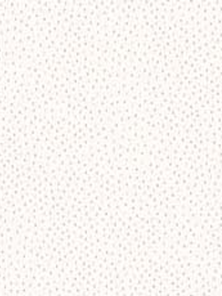 658404-LES PETITS CURIEUX- (0CM)   3