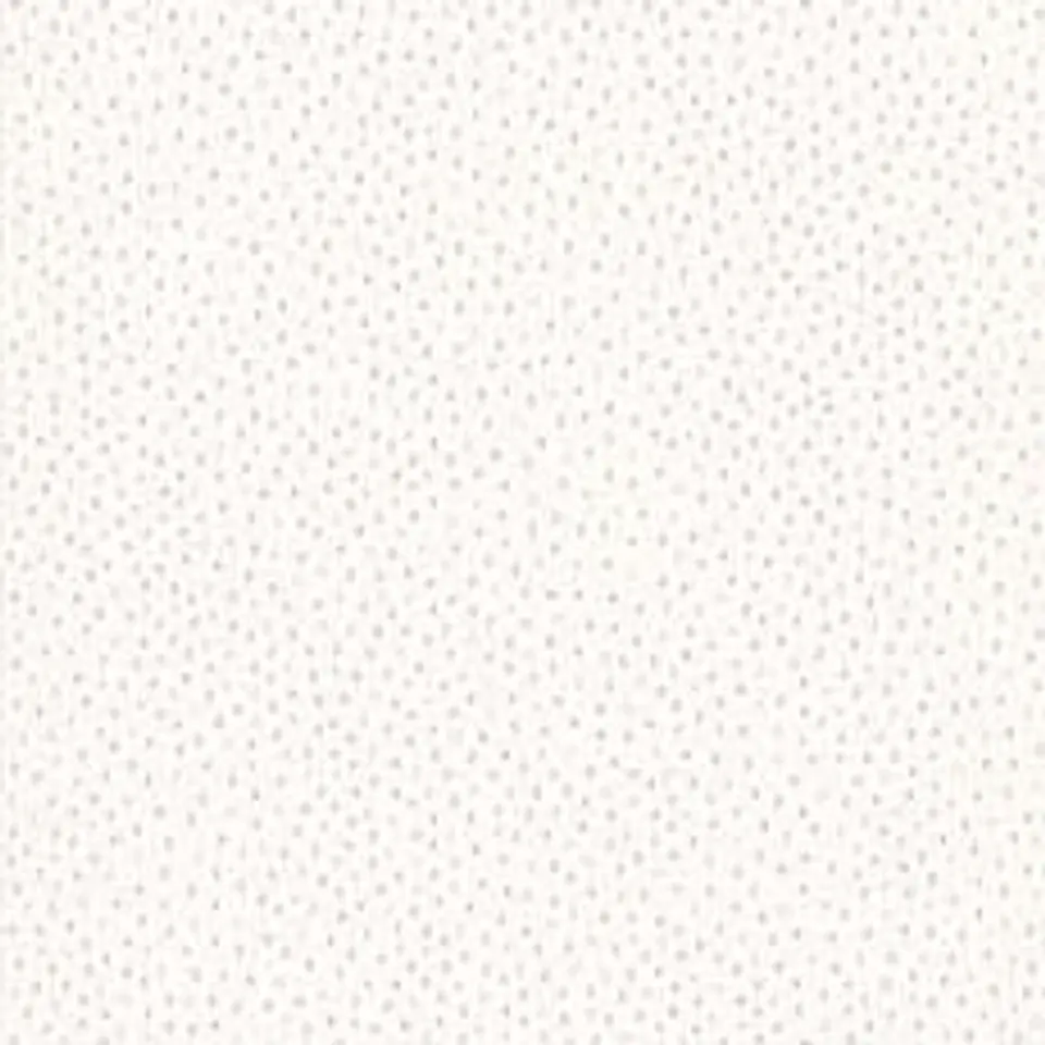 658404-LES PETITS CURIEUX- (0CM)   3