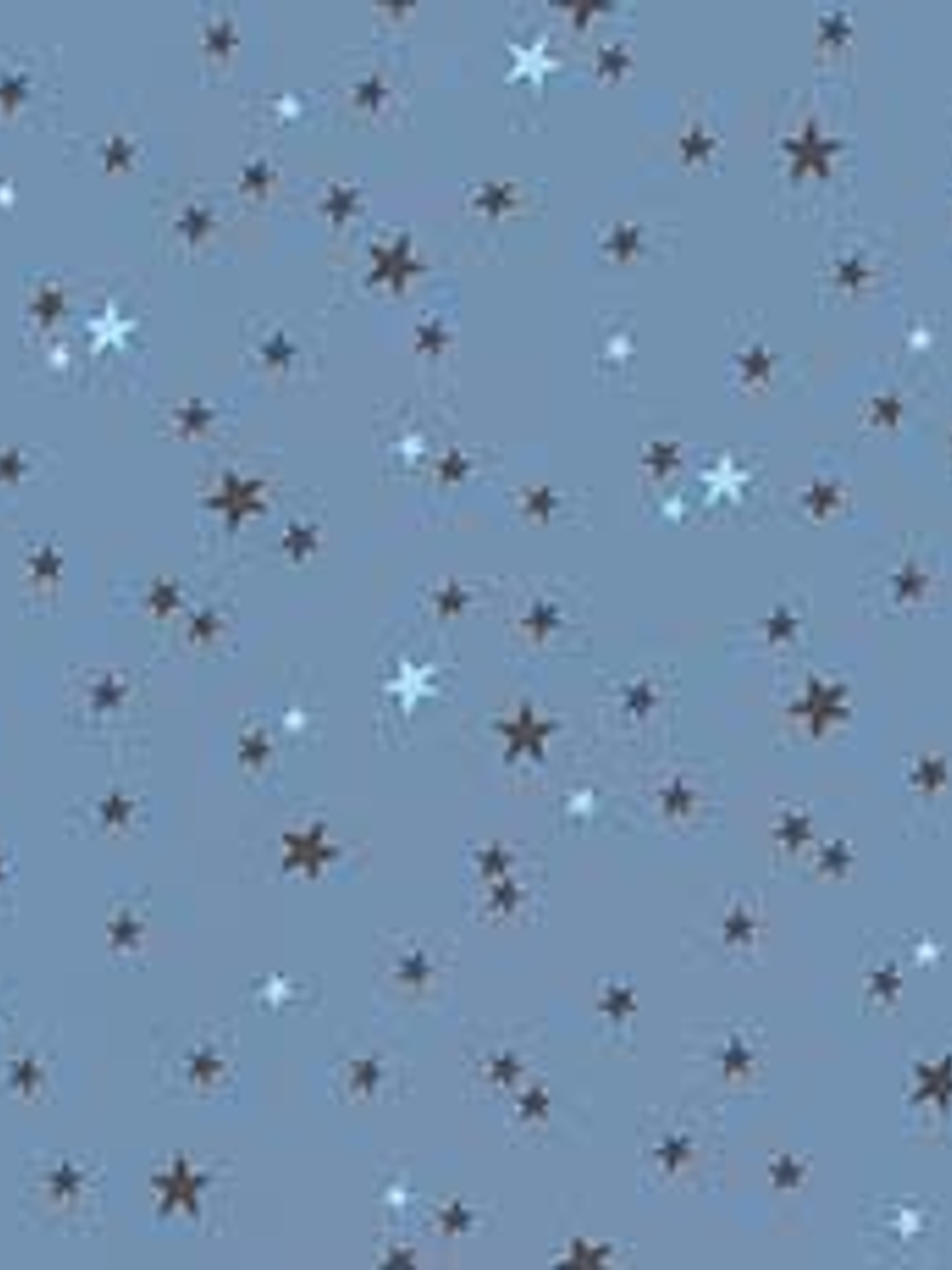 11160101-LES PETITS CURIEUX- (26.5CM)   3