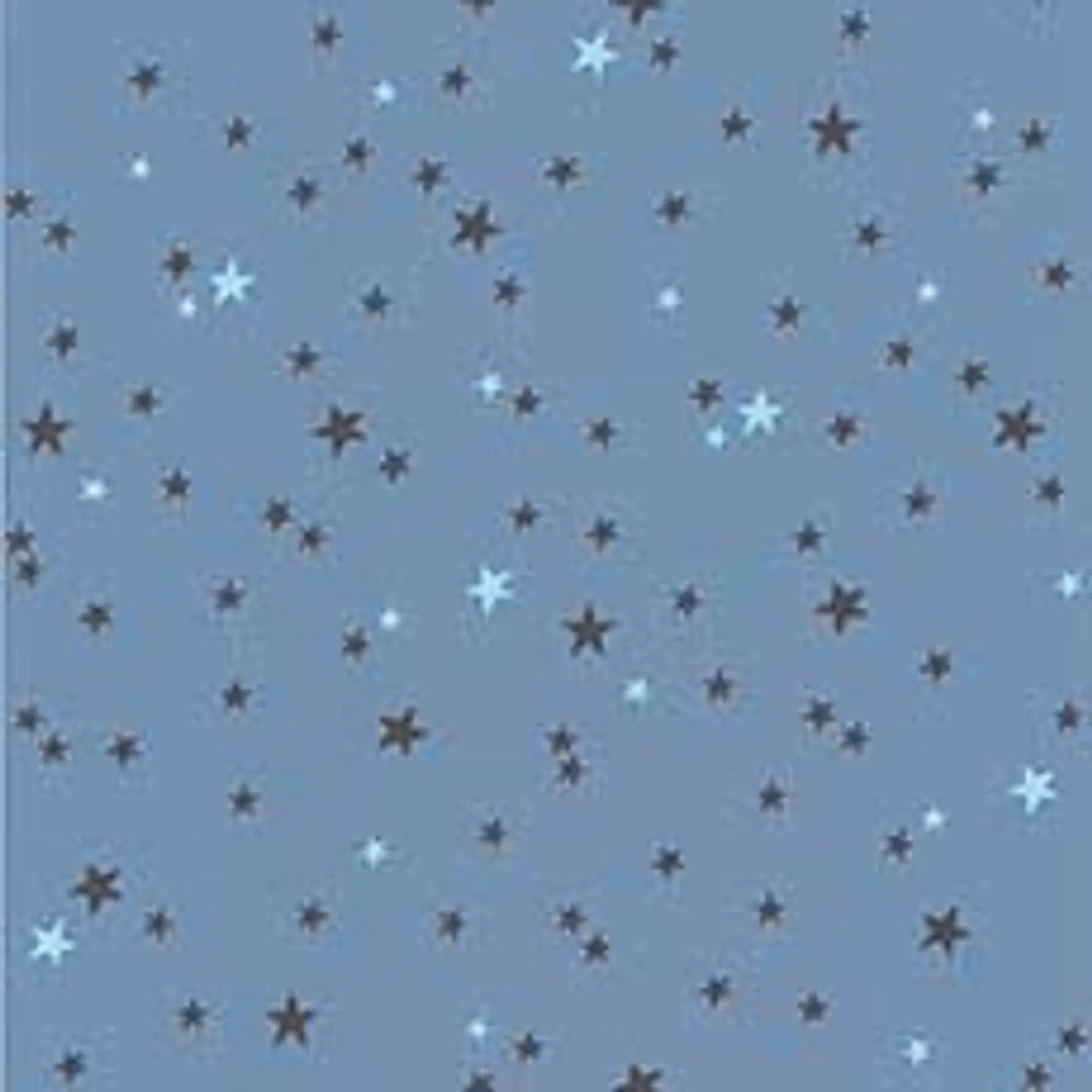 11160101-LES PETITS CURIEUX- (26.5CM)   3