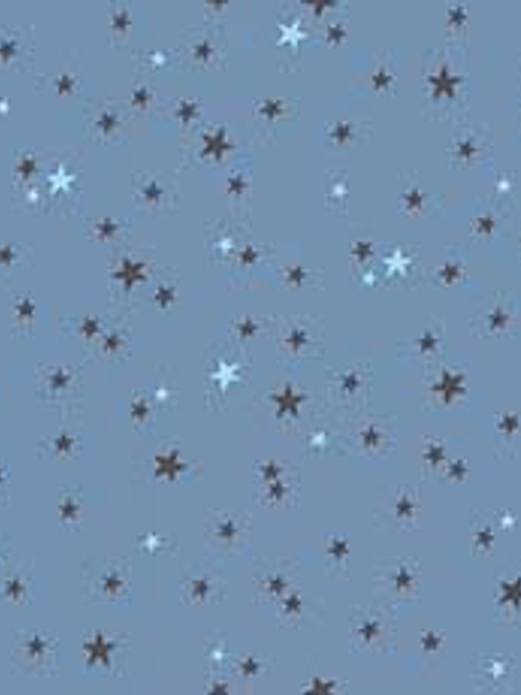 11160101-LES PETITS CURIEUX- (26.5CM)   3