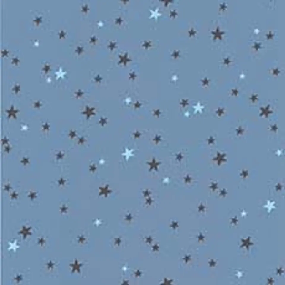 11160101-LES PETITS CURIEUX- (26.5CM)   3