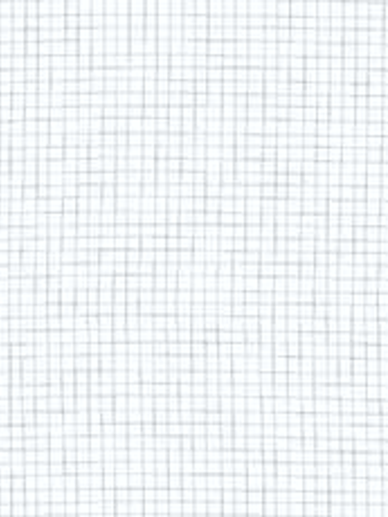 11160401-LES PETITS CURIEUX- (53CM)     4