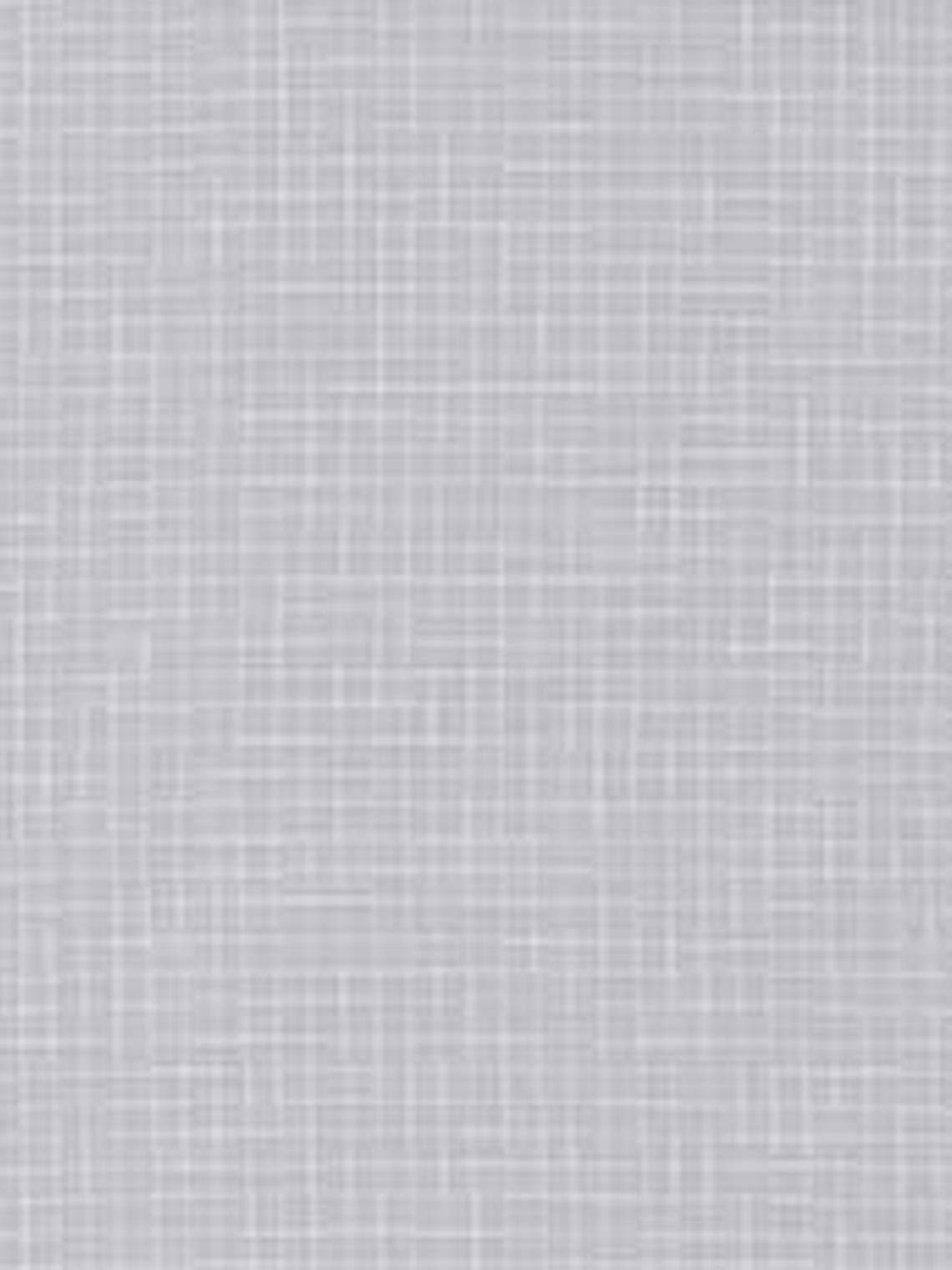 11160419-LES PETITS CURIEUX- (53CM)  1