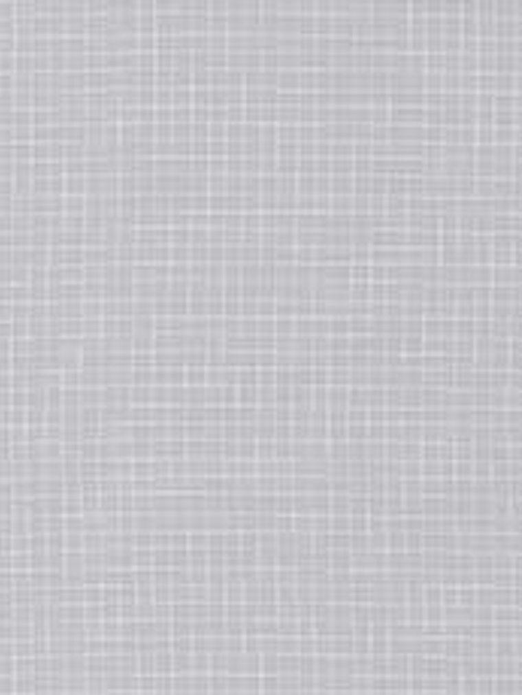 11160419-LES PETITS CURIEUX- (53CM)  1