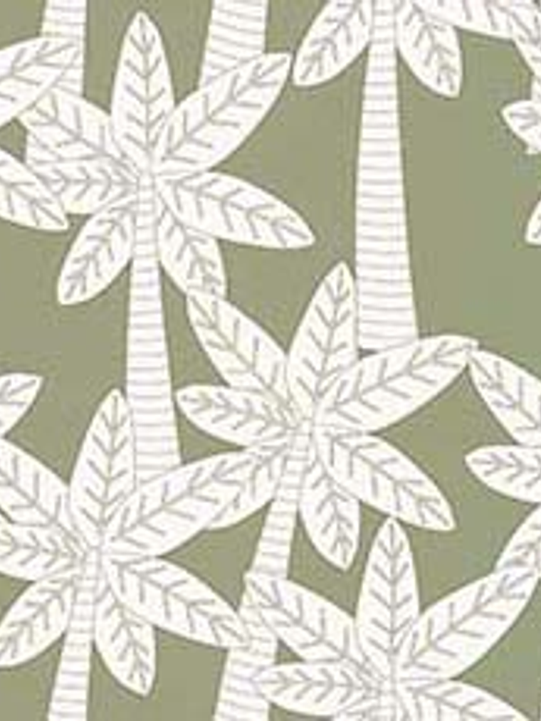 11160504-LES PETITS CURIEUX- (53CM)  1