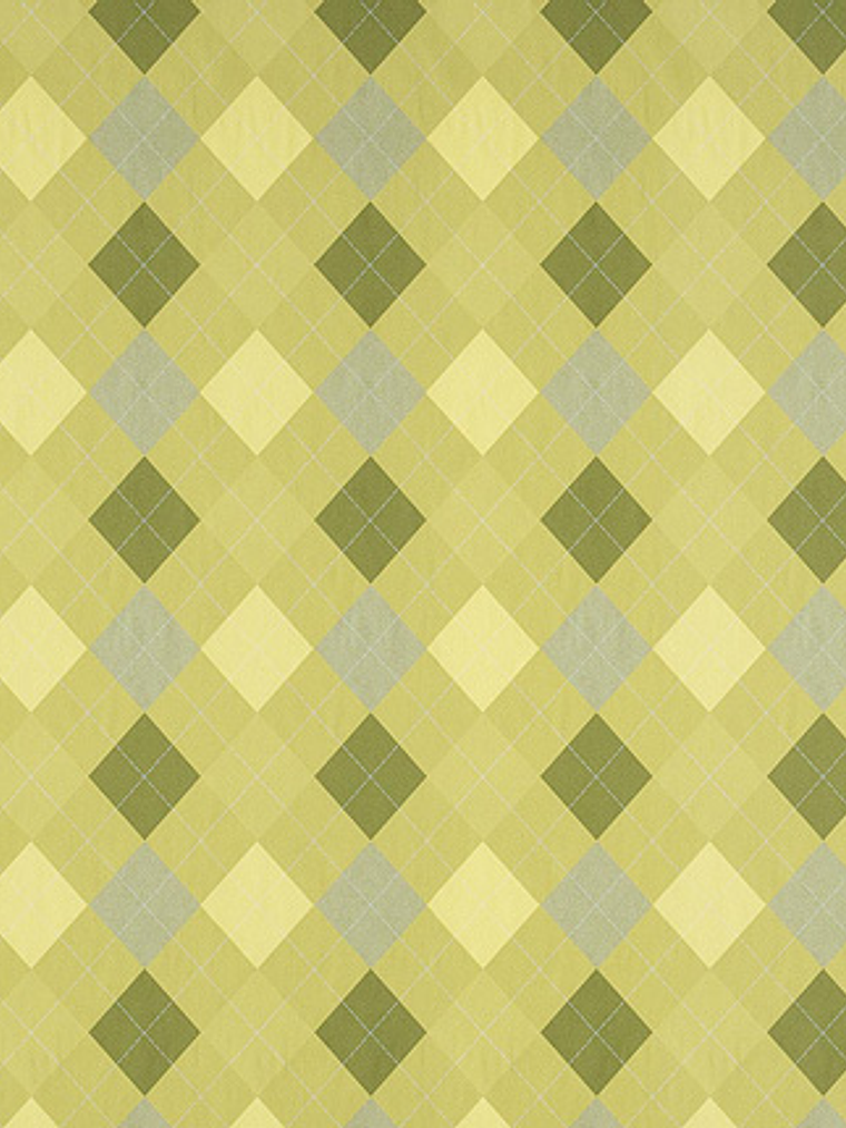 FASCINATA - (60cm) - 207074 1